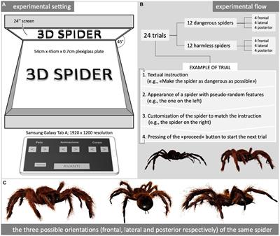 The fear of spiders: perceptual features assessed in augmented reality